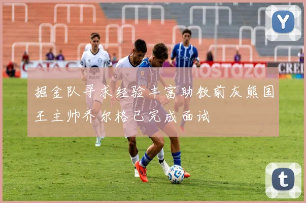 掘金队寻求经验丰富助教前灰熊国王主帅乔尔格已完成面试